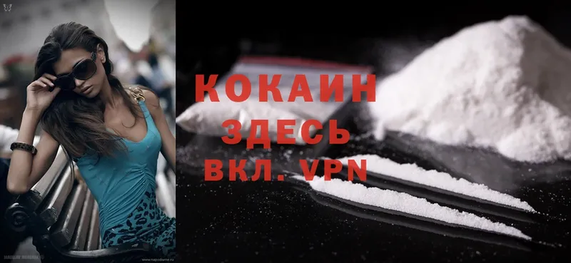 МЕГА как зайти  купить закладку  Бабаево  COCAIN FishScale 